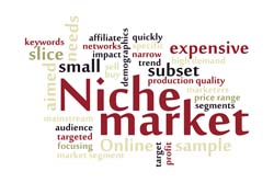 niche-marketing-strategy