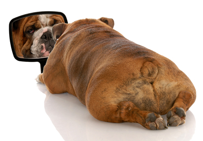 three-reasons-to-clone-your-website